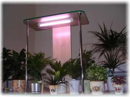 Подсветка комнатных растений ветрикальная лампа