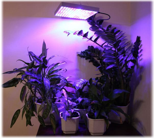 Как сделать LED фитолампу для растений